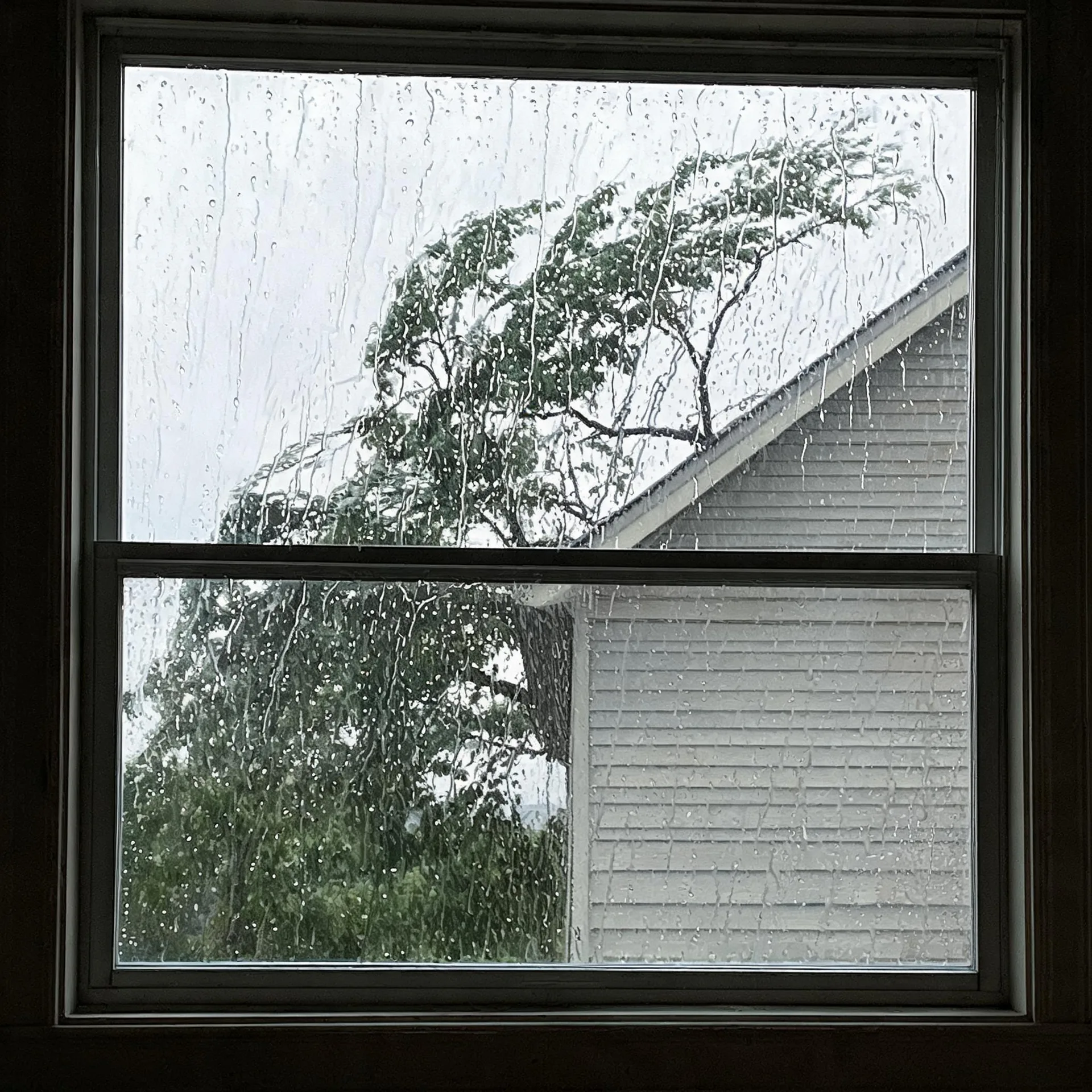 View through a rain-streaked double-hung window of a wind-blown leafy tree and the gabled end of a neighboring house with horizontal siding under an overcast sky.