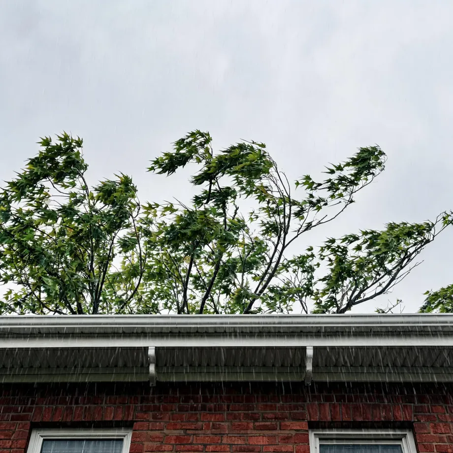 Rain falls past the eave and gutter of a brick house with two windows, seen from below against an overcast sky with green wind-blown tree branches behind the roofline.