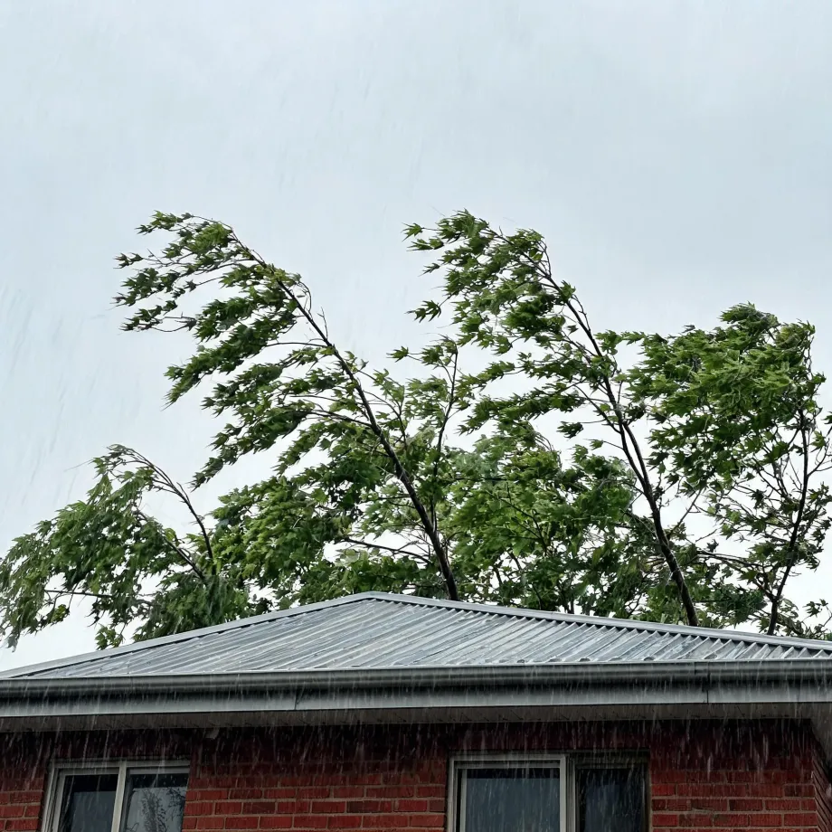 Heavy rain streaks fall past a red brick house with a corrugated metal roof, while wind bends the green leafy branches of a tree behind it against a pale grey sky.