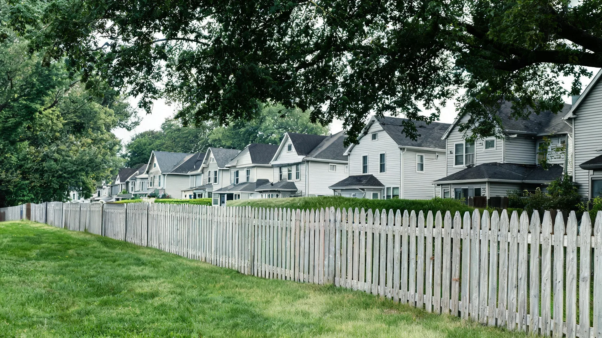 A weathered wooden picket fence runs diagonally across a mown grass lawn, with a row of two-story light-sided houses and large leafy trees behind it.