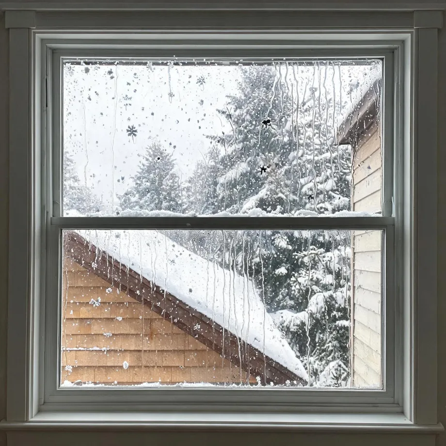 View through a wet, condensation-streaked double-hung window of a snow-covered shingled roof, wood siding, and snow-laden evergreen trees.