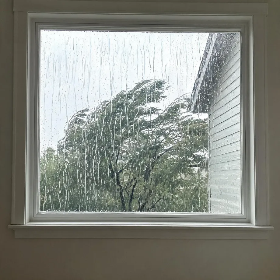 View through a rain-streaked window with white trim of a wind-blown deciduous tree and the horizontal clapboard siding and gable roof of a neighboring building under an overcast sky.