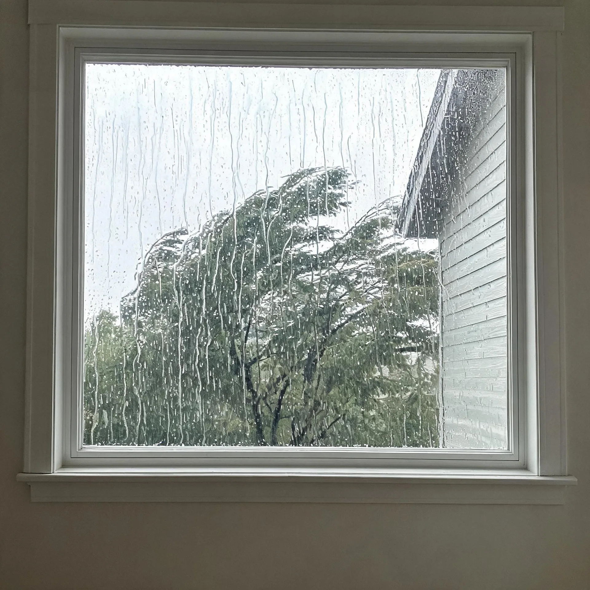View through a rain-streaked window with white trim of a wind-blown deciduous tree and the horizontal clapboard siding and gable roof of a neighboring building under an overcast sky.