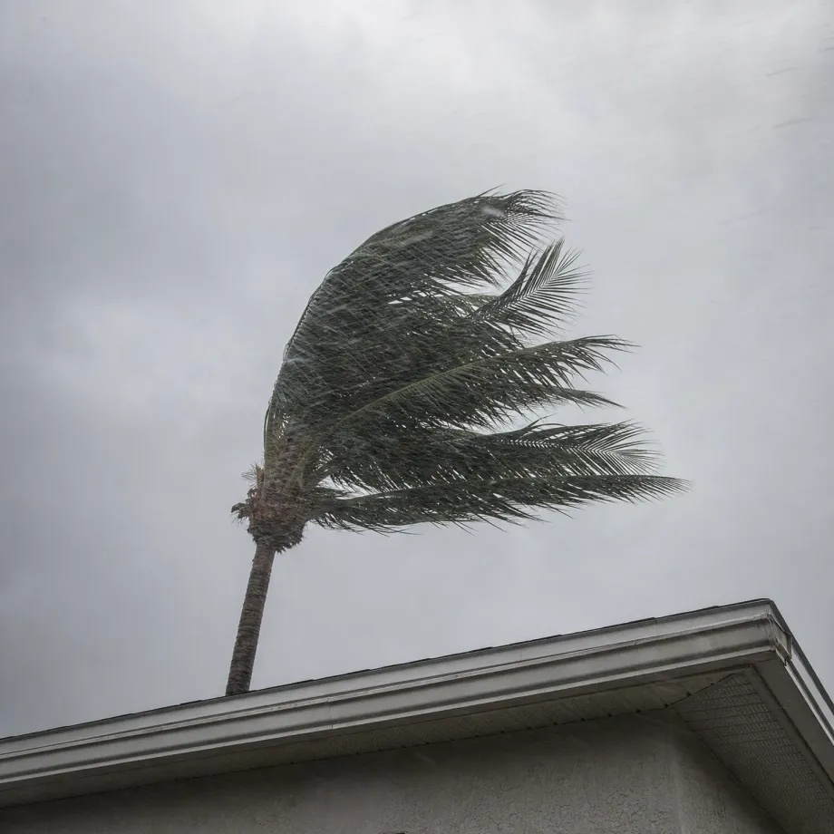 A palm tree with fronds blown to one side against an overcast gray sky, seen above the roof edge and eave of a stucco building in the foreground.