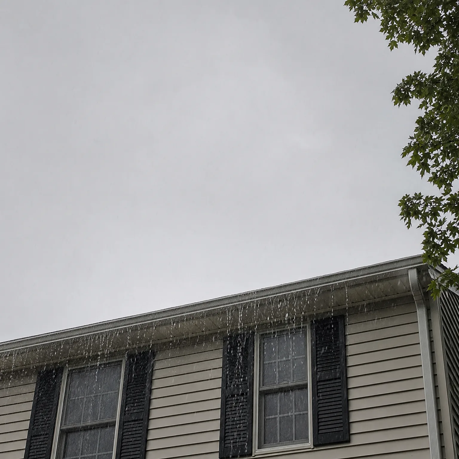 Upward view of the upper story of a house with beige vinyl siding and black shutters, water overflowing from the roof edge and gutter against an overcast gray sky, with tree branches at the upper right.