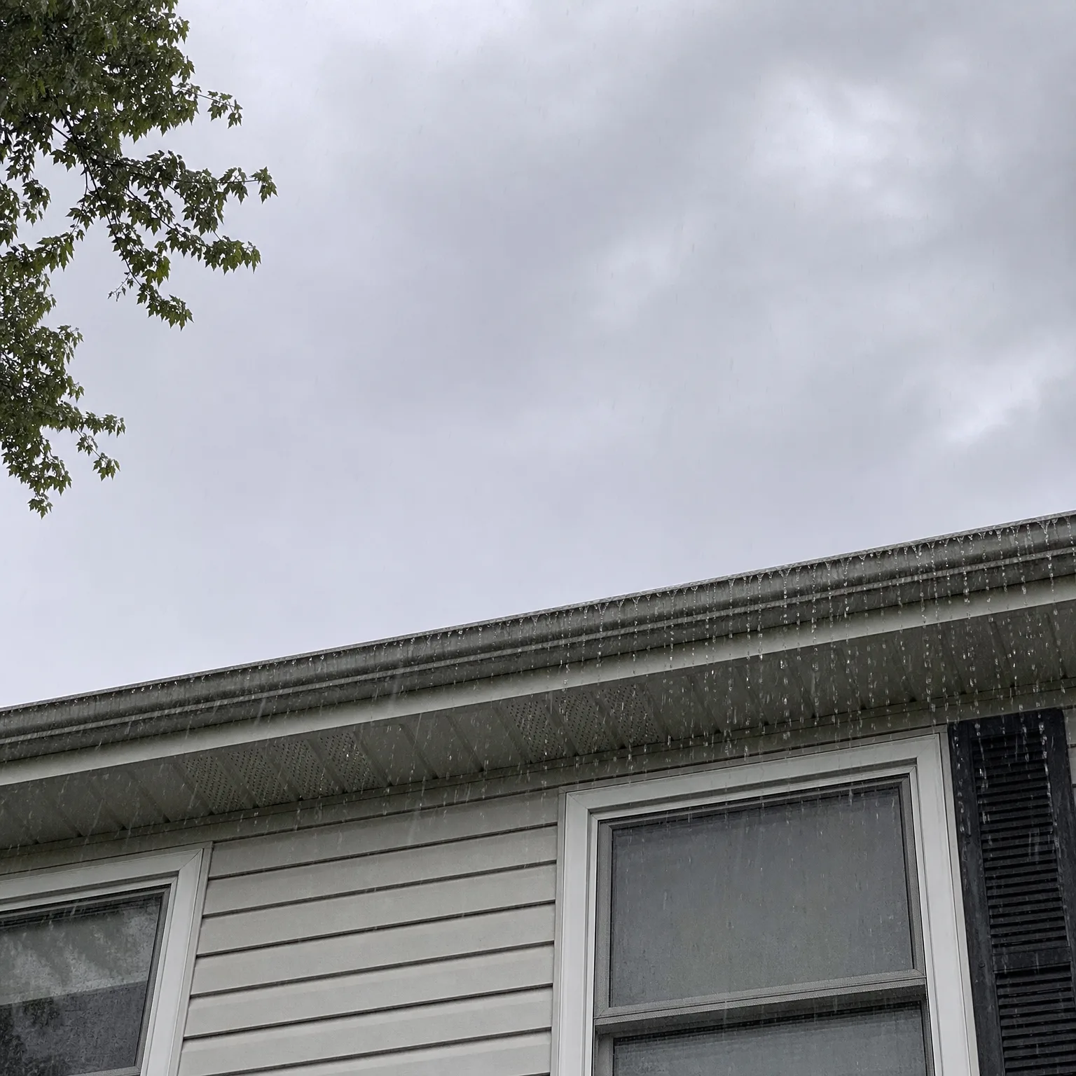 Upward view of the roofline, gutter, and vinyl-sided upper wall with two windows of a house during rainfall under an overcast gray sky, with tree branches in the upper left corner.