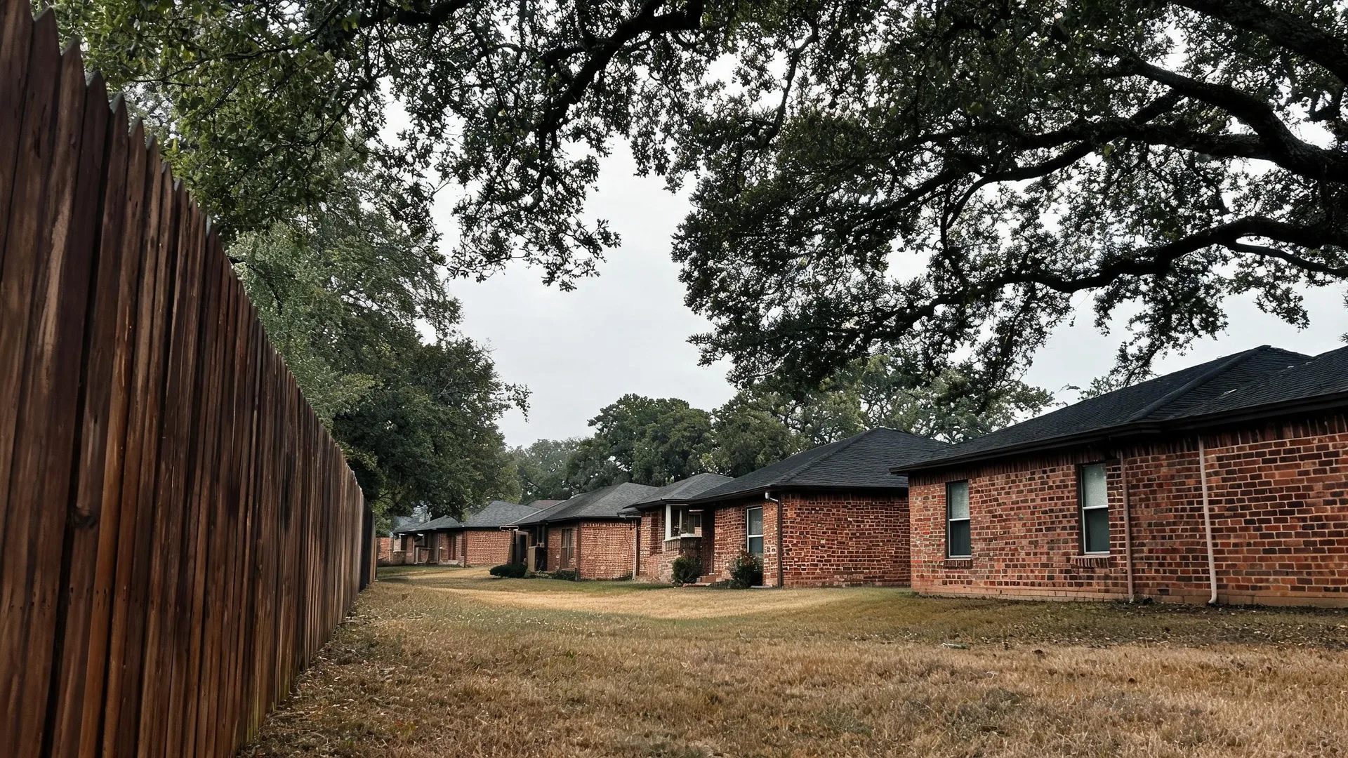 A row of single-story brick houses with dark shingled roofs sits along a grassy lawn beside a tall weathered wooden privacy fence, under large oak trees and an overcast sky.