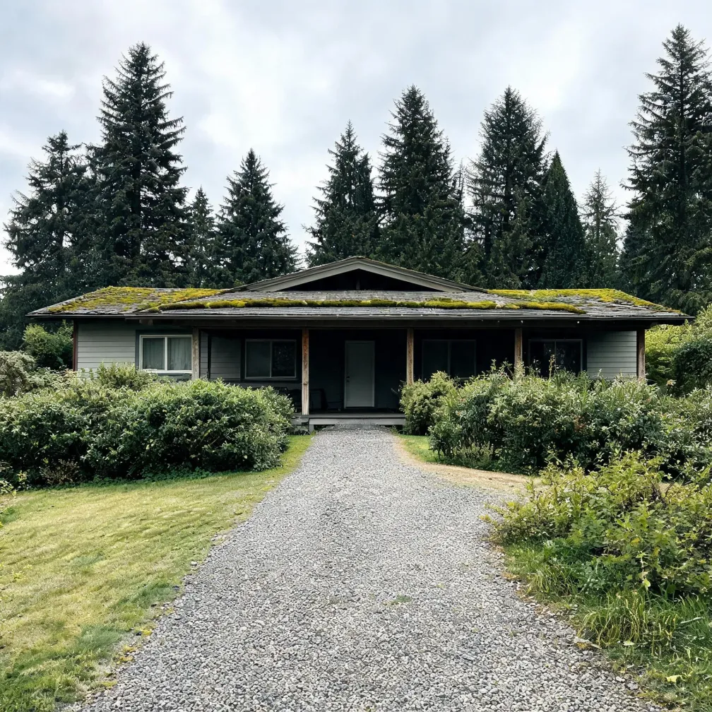 A single-story house with gray horizontal siding, a covered front porch and a moss-covered roof, framed by tall evergreen trees, with a gravel driveway leading to it between shrubs and lawn under an overcast sky.