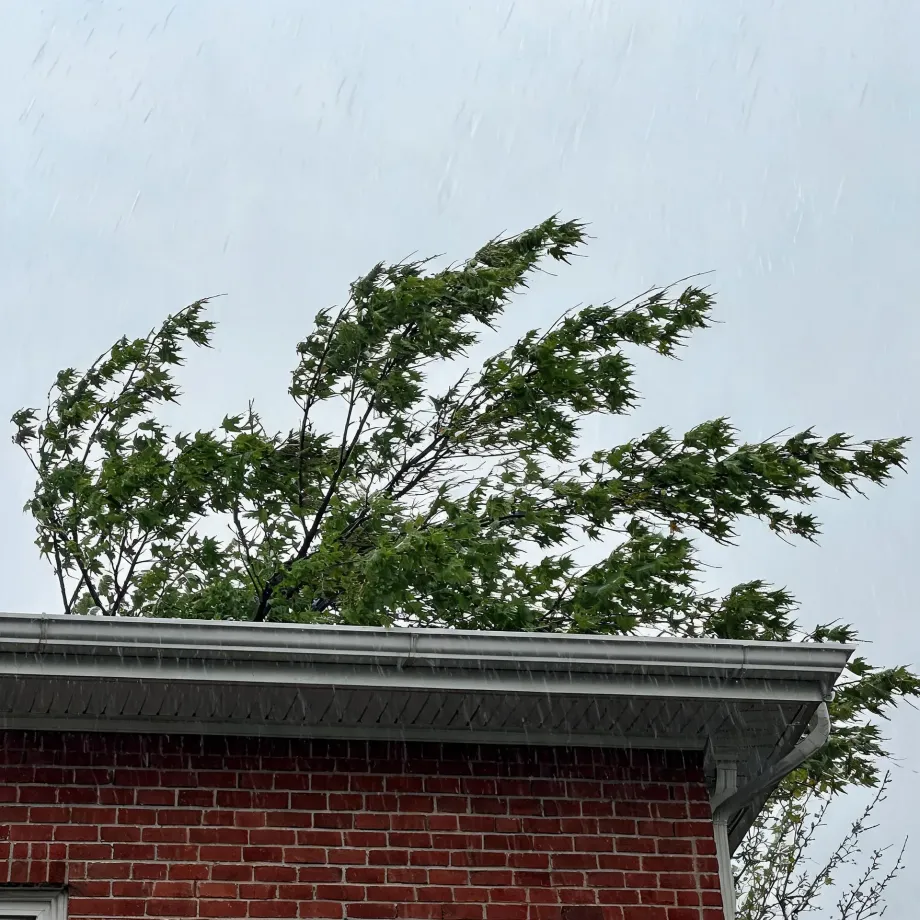 Corner of a red brick building with a white gutter and eaves, with a wind-blown green leafy tree behind it and rain streaks against a pale gray sky.