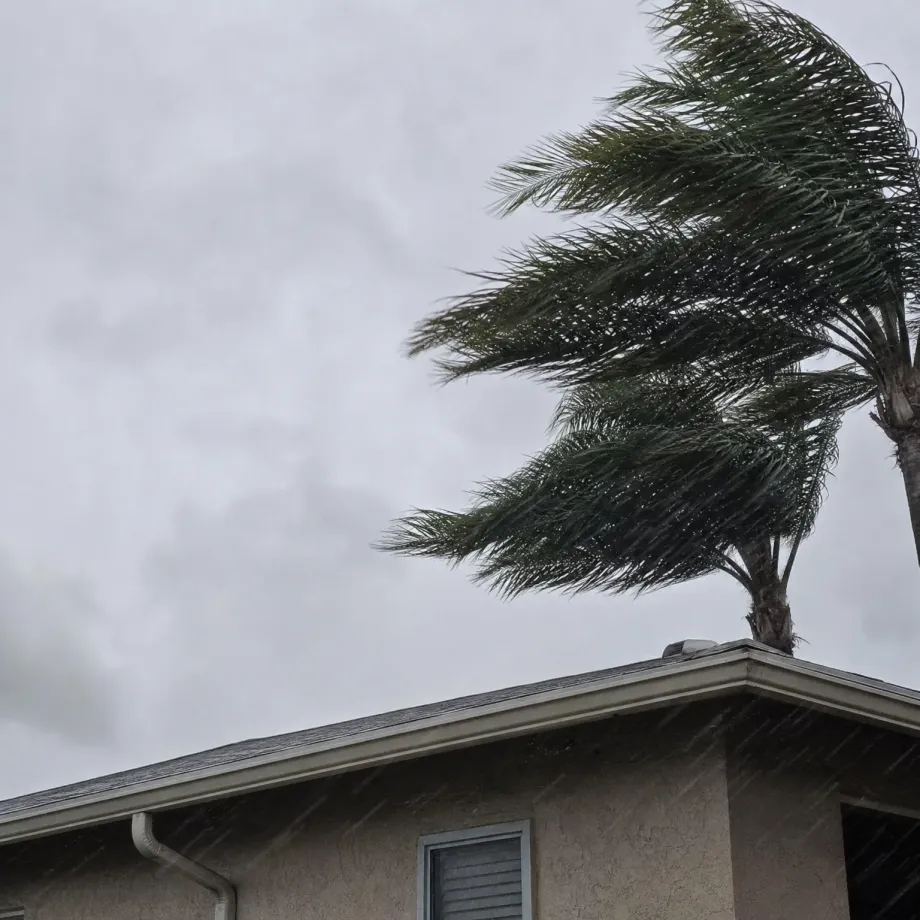 A palm tree with fronds blown sideways rises behind the gable roof of a stucco house under a grey overcast sky with visible rain streaks.