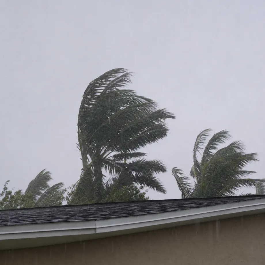 Palm fronds bending in wind against a pale gray sky above a shingled roof edge with gutter and stucco wall, with rain streaking the view.