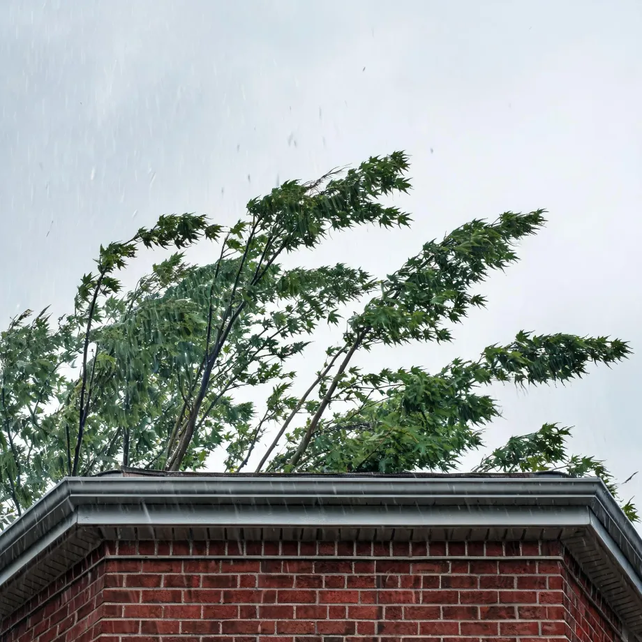 Corner of a red brick building with a metal gutter and roof edge, with green leafy tree branches bending in wind behind it under an overcast sky and visible falling rain.