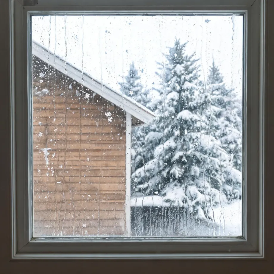 View through a condensation-streaked window pane of a snow-covered evergreen tree and the wood-sided gable end and roofline of an adjacent building.