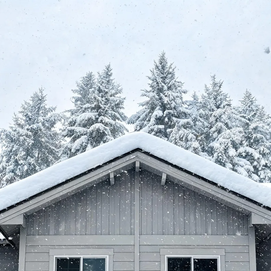 Snow-covered gable roof of a gray board-and-batten house with two windows, backed by snow-laden evergreen trees and falling snow.