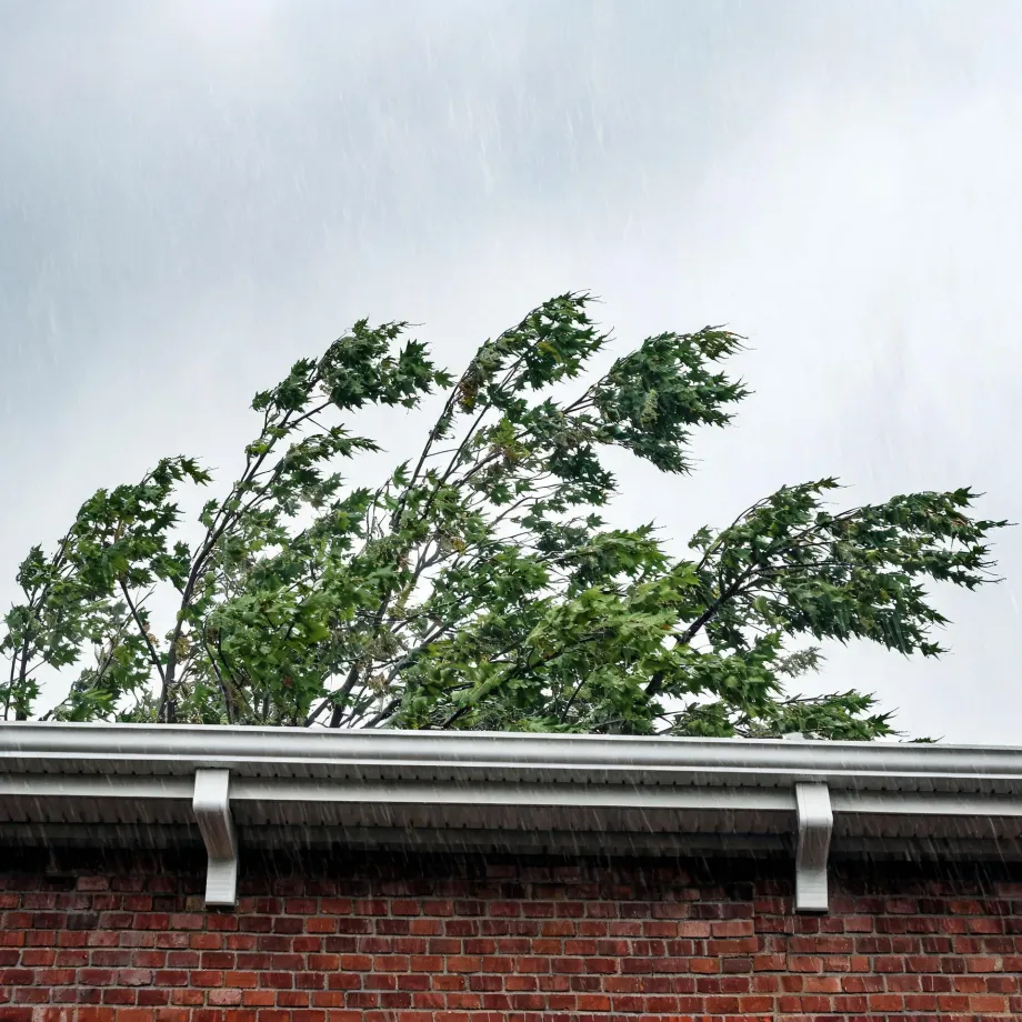 Rain falls past a brick building's roof edge with a white gutter and brackets, while green tree branches bend in the wind against a pale gray sky.