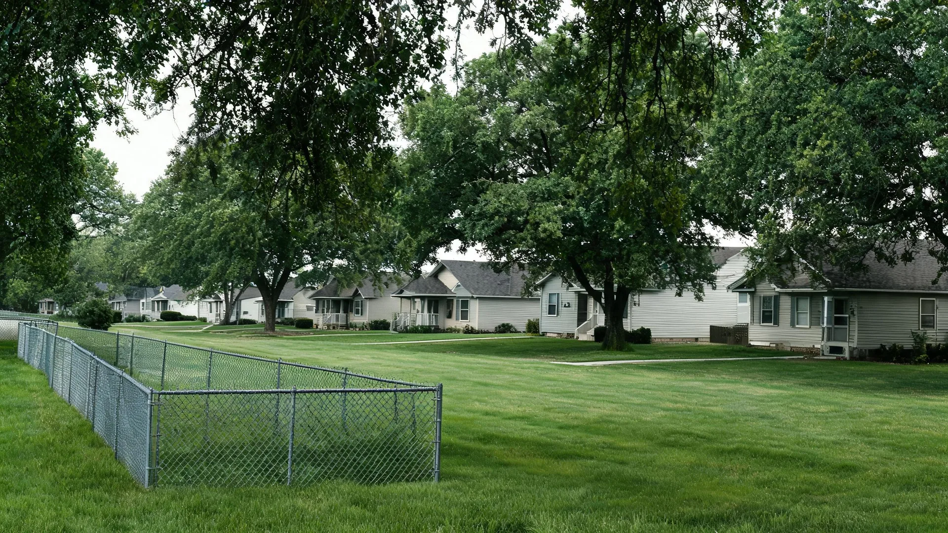 A row of single-story light-colored houses behind large mature trees, fronted by a wide mowed lawn and a chain-link fence in the foreground.