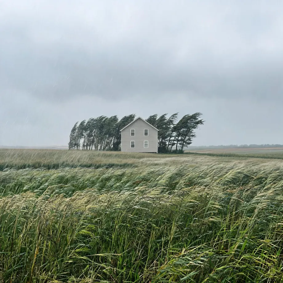 A small two-story white house stands beside a row of wind-bent trees at the edge of a wide grass marsh under a gray, rainy sky.