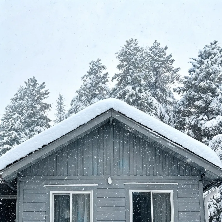 Gable end of a gray wood-clad house with two windows and a thick layer of snow on the roof, backed by snow-covered conifers during falling snow.