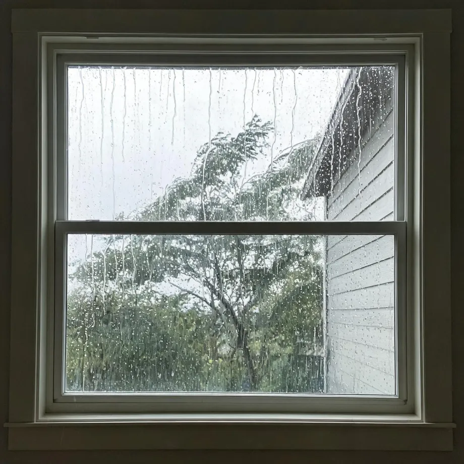 View through a rain-streaked double-hung window with dark interior trim, showing a leafy tree, overcast sky, and the horizontal siding and roof edge of an adjacent building.