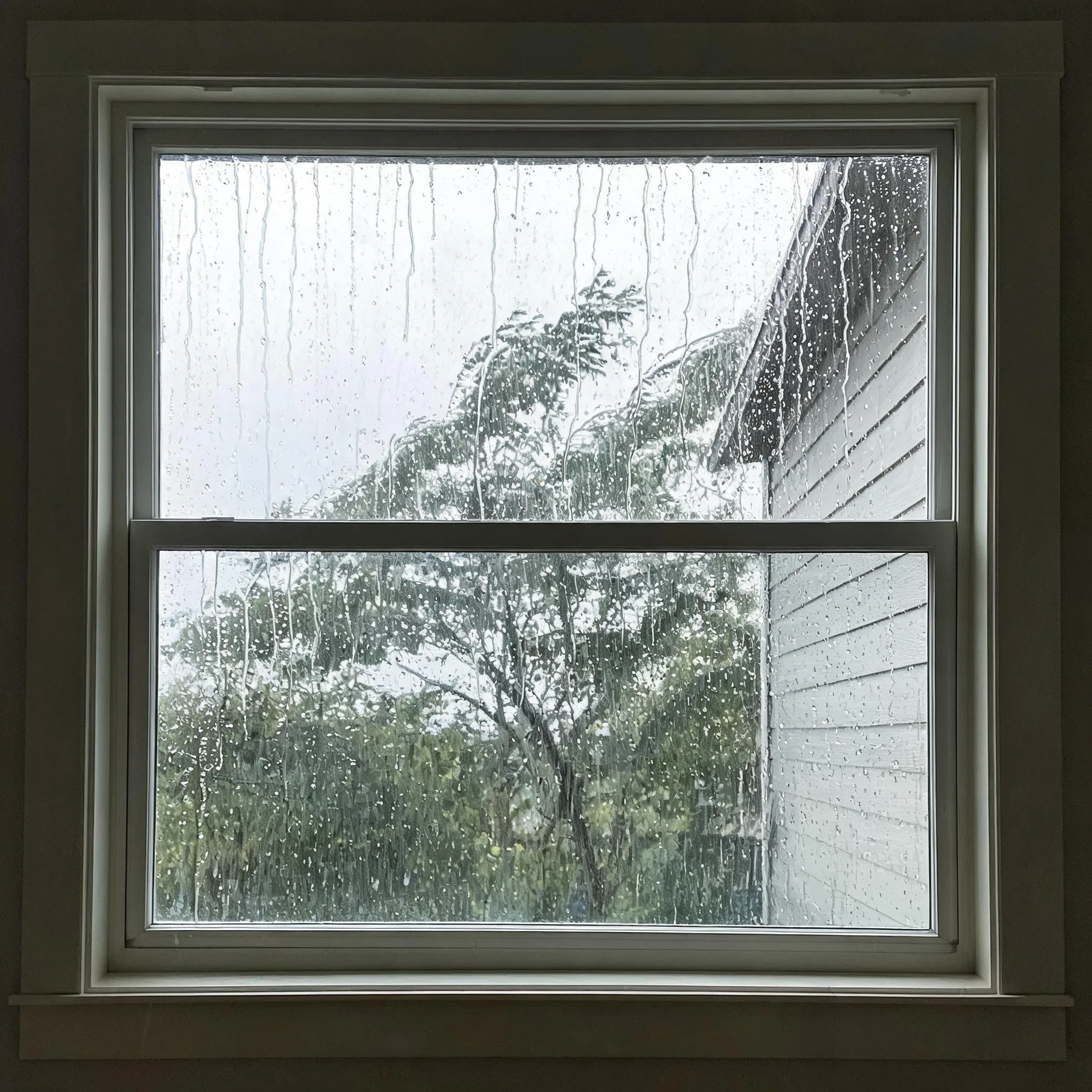 View through a rain-streaked double-hung window with dark interior trim, showing a leafy tree, overcast sky, and the horizontal siding and roof edge of an adjacent building.