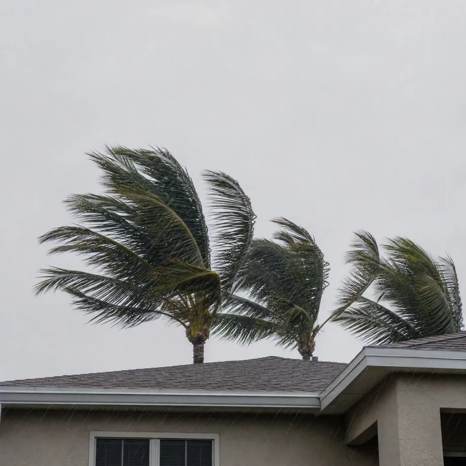 Palm trees bending in wind and rain behind the shingled roof and stucco upper wall of a single-story house under an overcast gray sky.