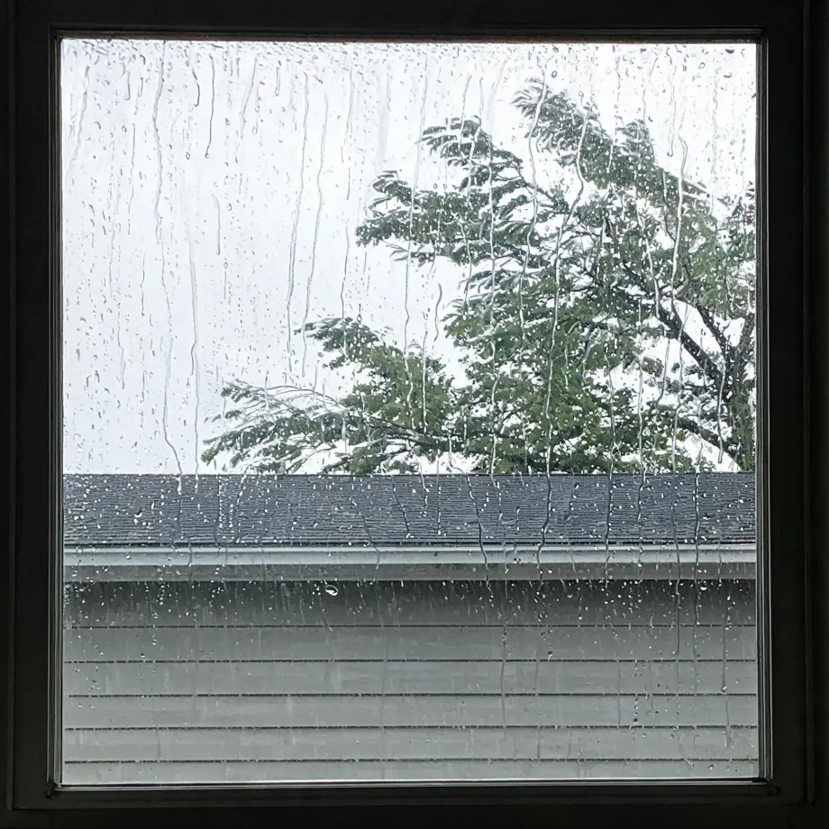View through a rain-streaked window pane of a neighboring building's shingled roof, gutter and horizontal lap siding, with a leafy tree and pale overcast sky behind.