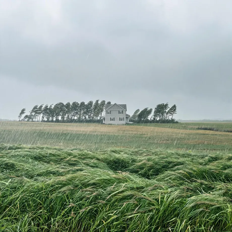 A two-story gray house stands behind a row of wind-bent trees at the edge of a wide grass field flattened by wind, under an overcast sky with visible rain streaks.