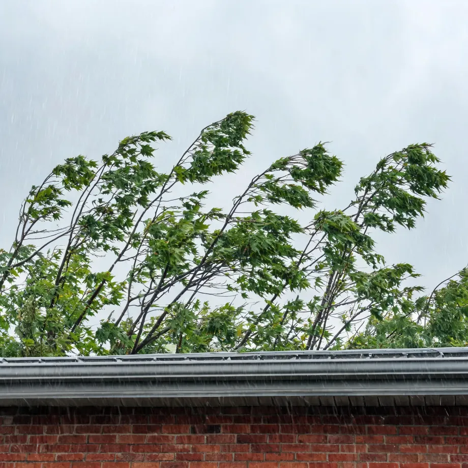 Rain falls past green maple branches bent by wind above the metal gutter and roof edge of a red brick building under an overcast sky.