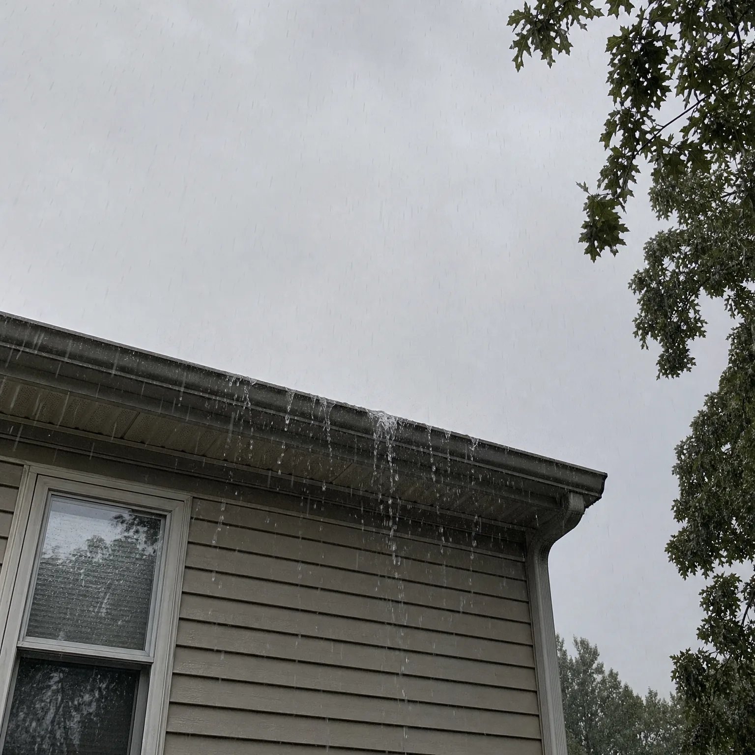 Upward view of the corner of a house with beige horizontal lap siding and a white-framed window, water overflowing from the roof gutter against an overcast grey sky, with tree branches at the right.