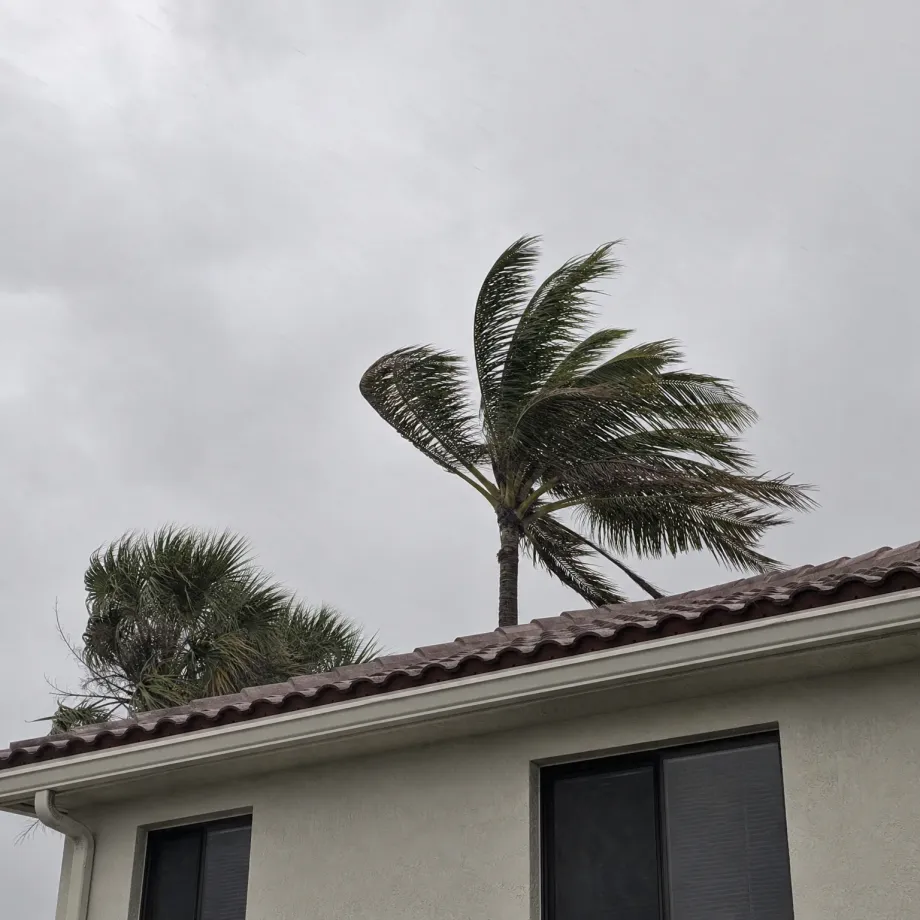 A palm tree bending in wind behind the barrel-tile roof and gutter of a light stucco house under an overcast grey sky, with a second palm at left and dark windows below.