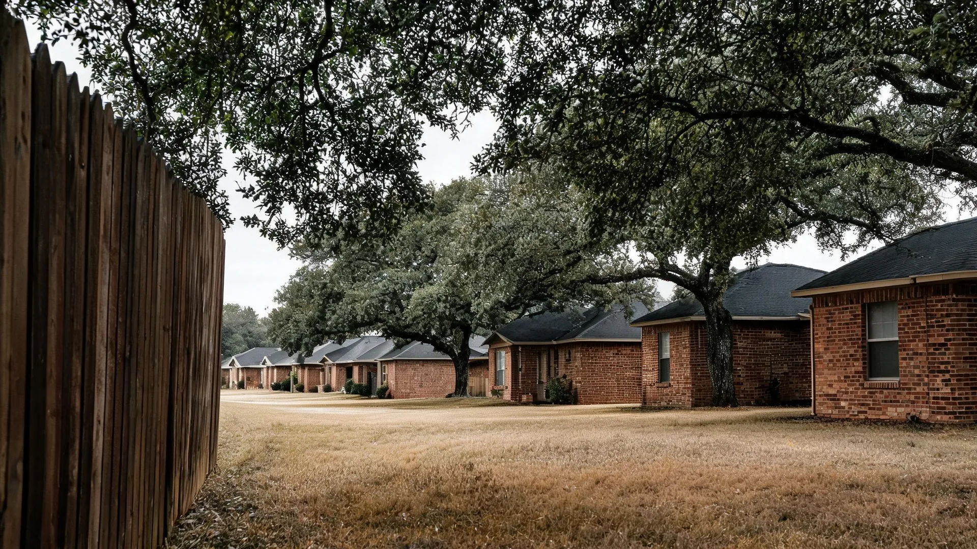 A row of single-story brick houses with dark shingled roofs behind a dry grass lawn, framed by a weathered wooden fence at left and large spreading oak trees overhead under an overcast sky.