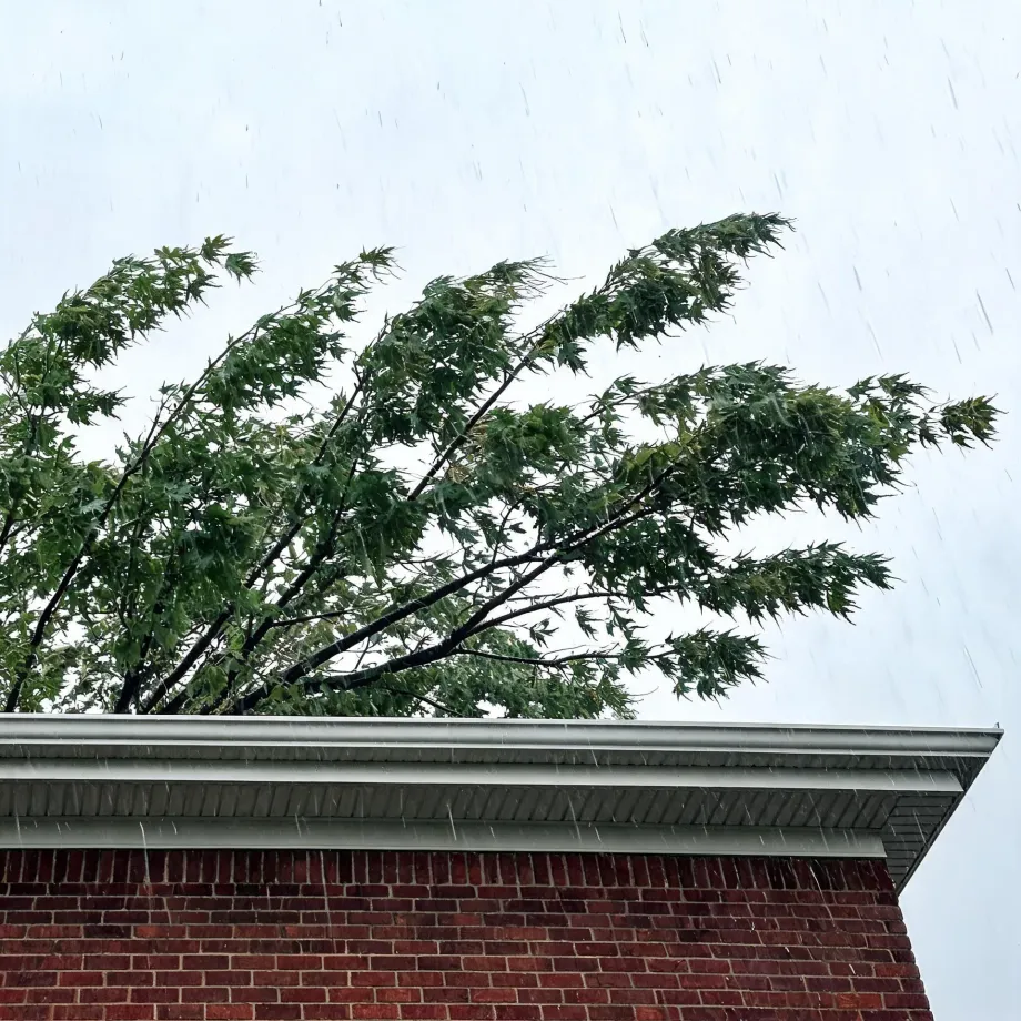 Corner of a red brick building with a white gutter and soffit seen from below, with wind-blown green tree branches behind it and rain streaks against an overcast sky.