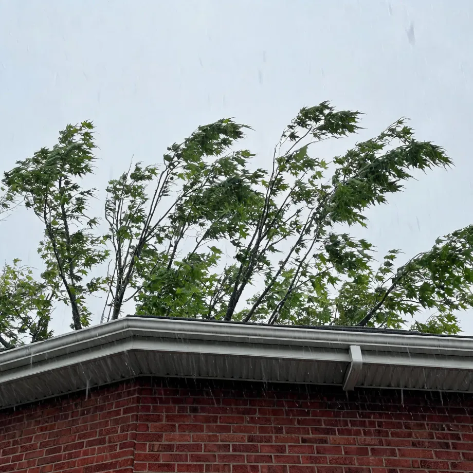 Corner of a red brick building with a white gutter and eave, seen from below against an overcast sky, with wind-blown green tree branches behind and falling rain streaks.