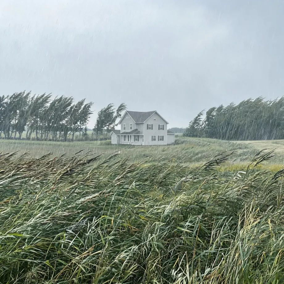 A two-story white house with a porch stands in a flat field behind wind-bent grasses and a row of leaning trees under a grey, rain-streaked sky.