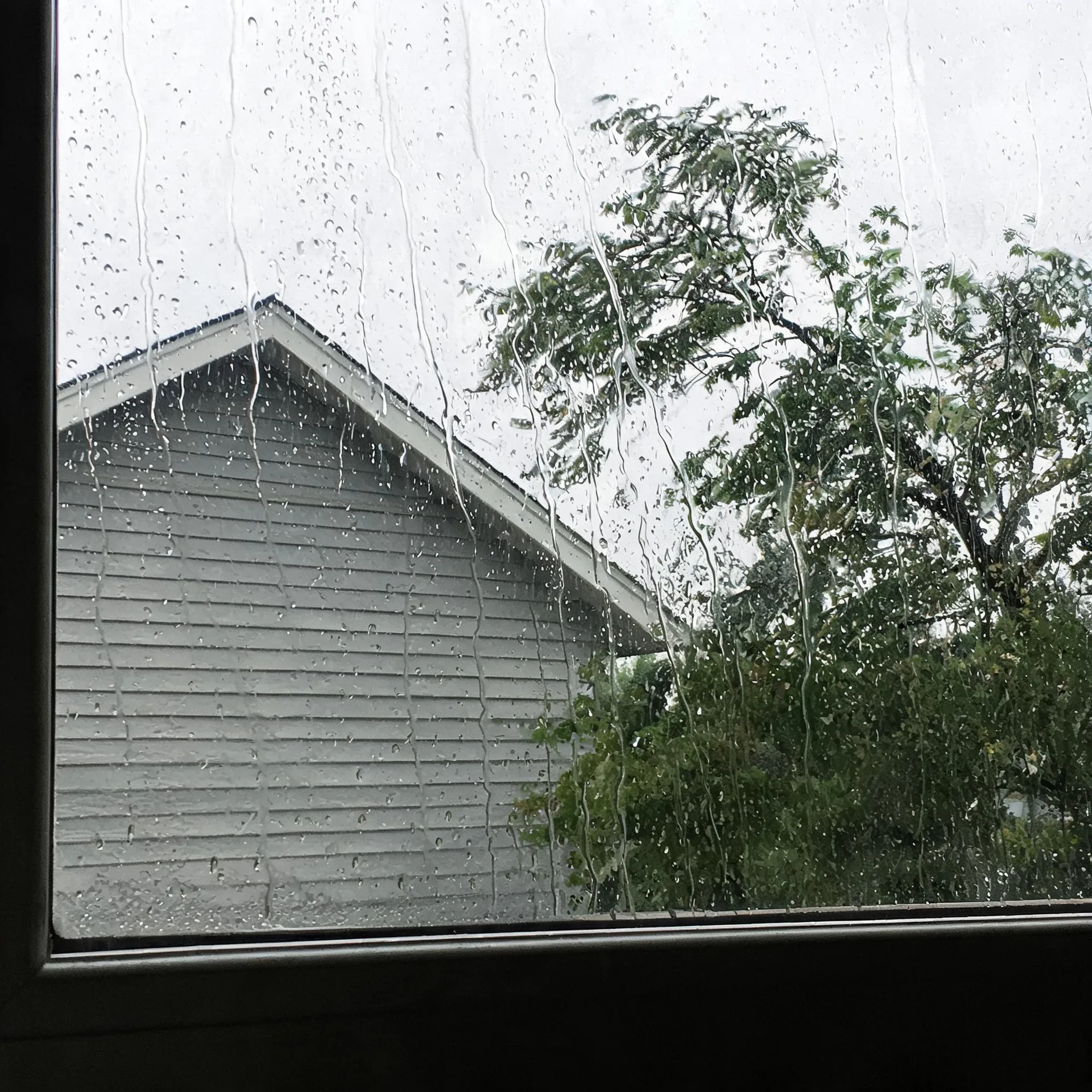 View through a rain-streaked window of a gray horizontal-siding house gable and green leafy trees under an overcast white sky.