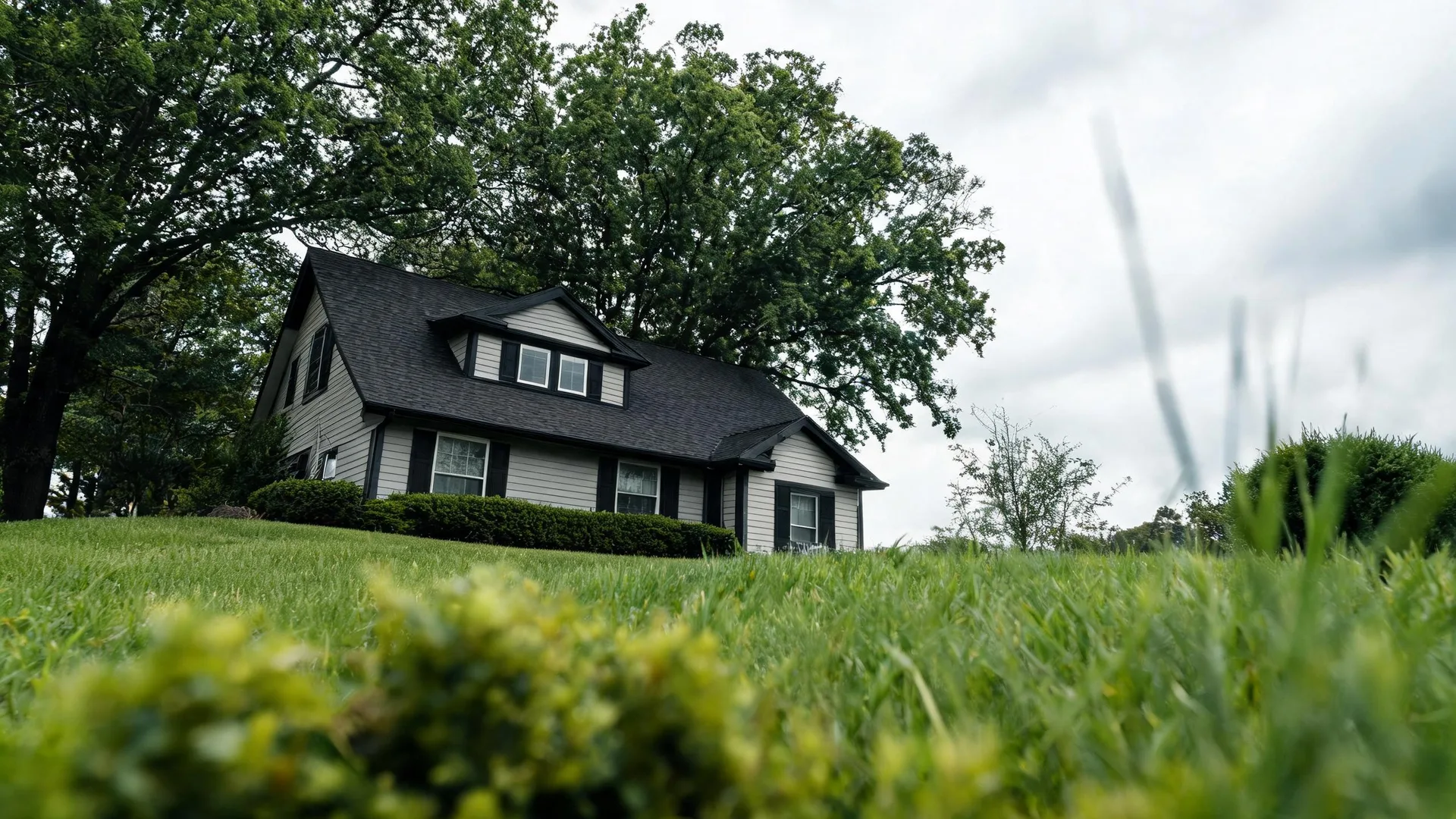 Low-angle view across a grassy lawn toward a light-gray house with a dark shingled roof, dormer windows and dark shutters, framed by large leafy trees under an overcast sky.
