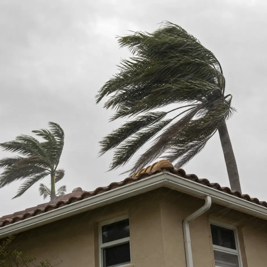 Palm trees bending in strong wind and rain above the corner of a stucco house with a barrel-tile roof, gutter, downspout, and two windows, under an overcast gray sky.