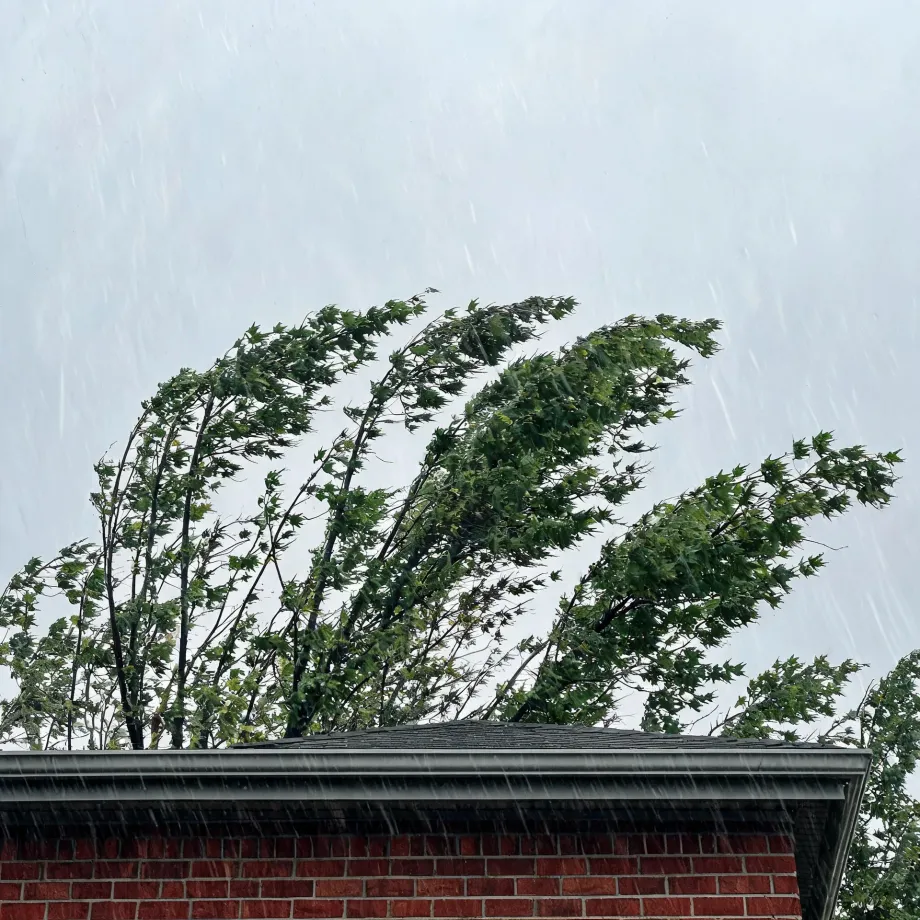 Rain streaks fall past a green deciduous tree bending in wind above the shingled roof, gutter, and red brick wall of a house under an overcast sky.