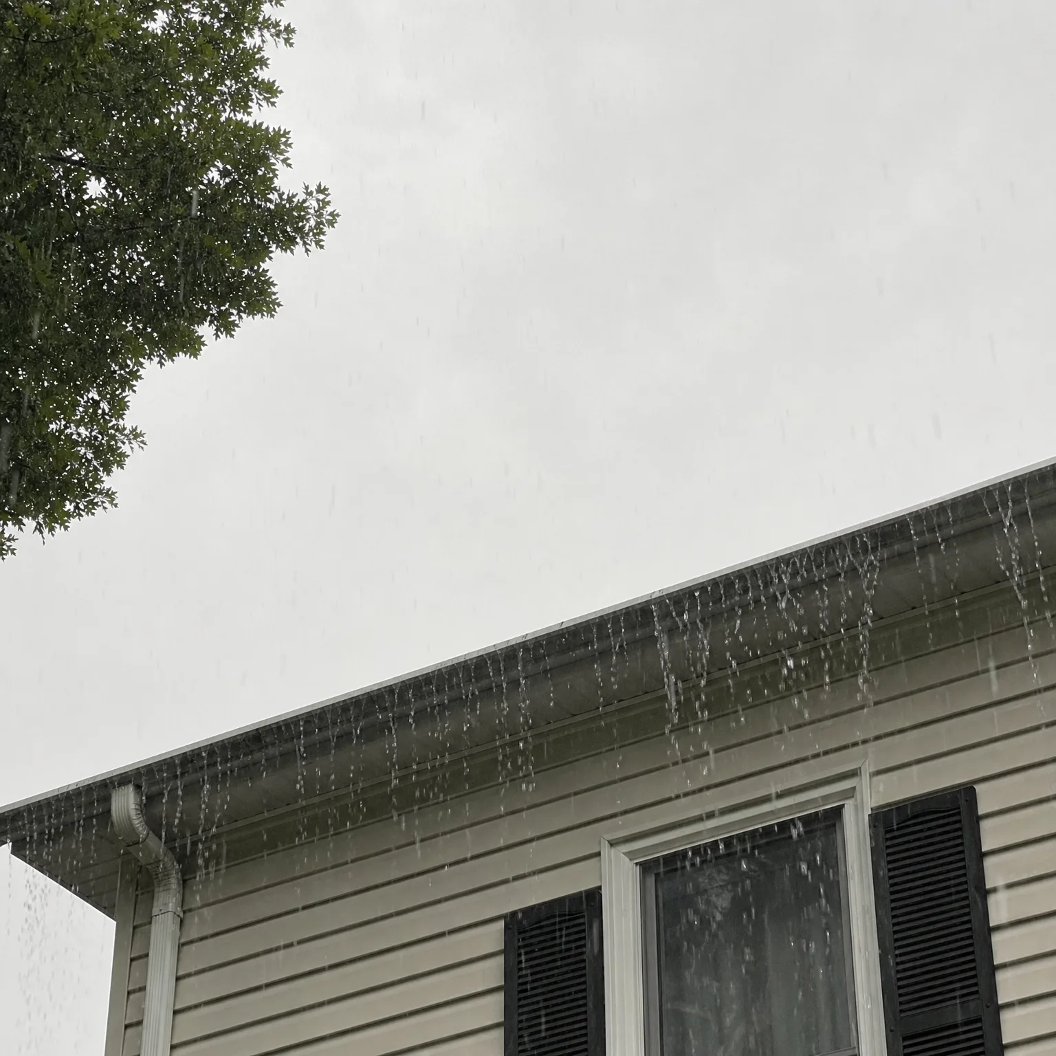 Rain pours off the edge of a gutter along the roofline of a house with beige vinyl siding, a window with dark shutters, and a downspout, with tree branches at the upper left against an overcast sky.