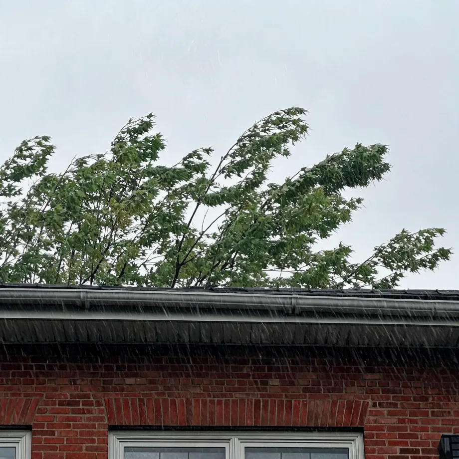 Heavy rain streaks fall past the roofline and gutter of a red brick house, with wind-blown green maple branches above against an overcast grey sky.
