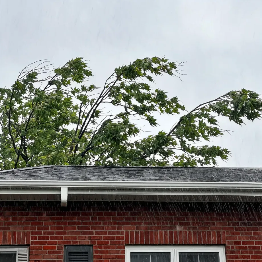 Wind-blown leafy tree branches above the shingled roof and white gutter of a red brick house during heavy rain under an overcast sky.