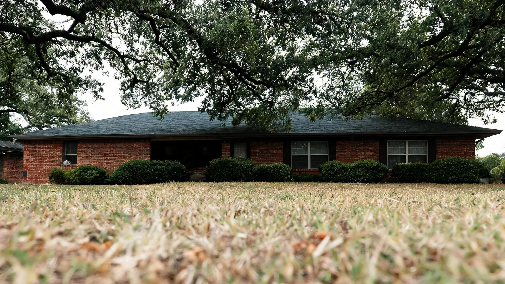 A single-story brick house with a dark shingled roof and trimmed shrubs, photographed from ground level across a dry lawn beneath overhanging tree branches.