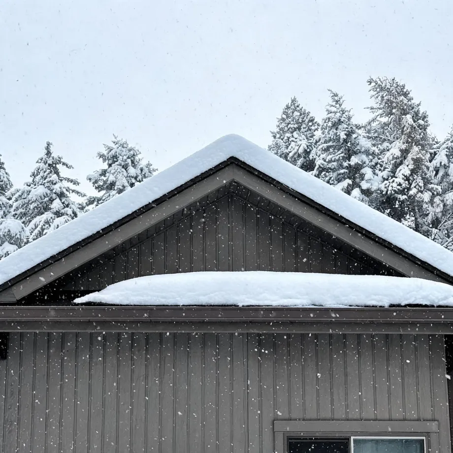 Snow-covered gable roof of a dark brown vertical board-and-batten house during falling snow, with snow-laden conifers behind it under a pale gray sky.