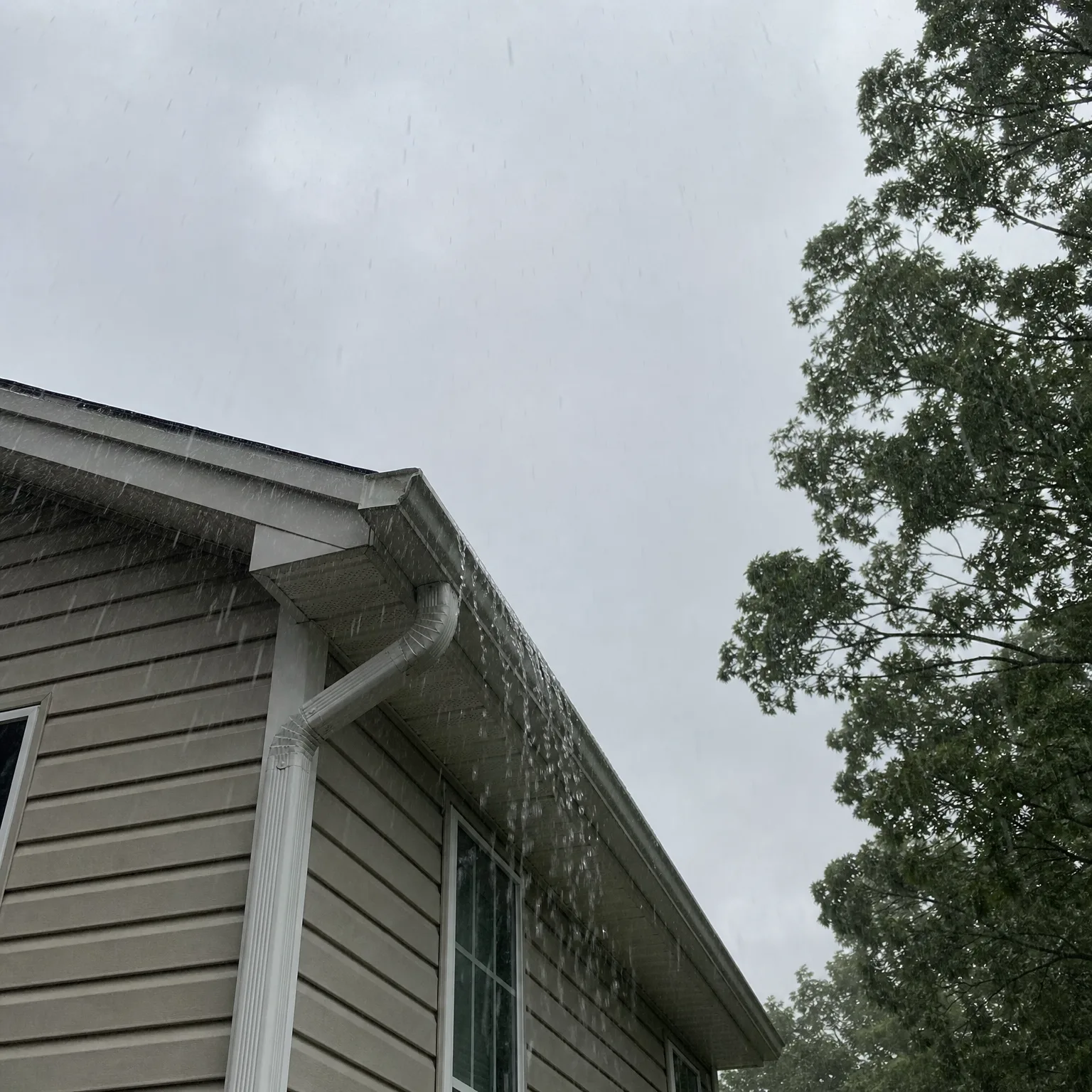 Upward view of the corner of a house with beige vinyl siding, white gutter and downspout, and water overflowing from the gutter edge during rain under an overcast sky, with a leafy tree at right.