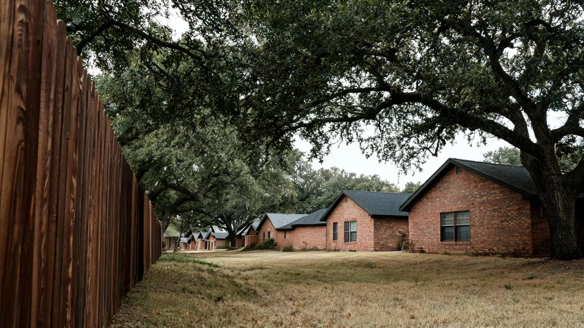 A row of single-story brick houses with dark shingled gable roofs behind a dry grass lawn, with a tall wooden fence along the left side and large spreading oak branches overhead.