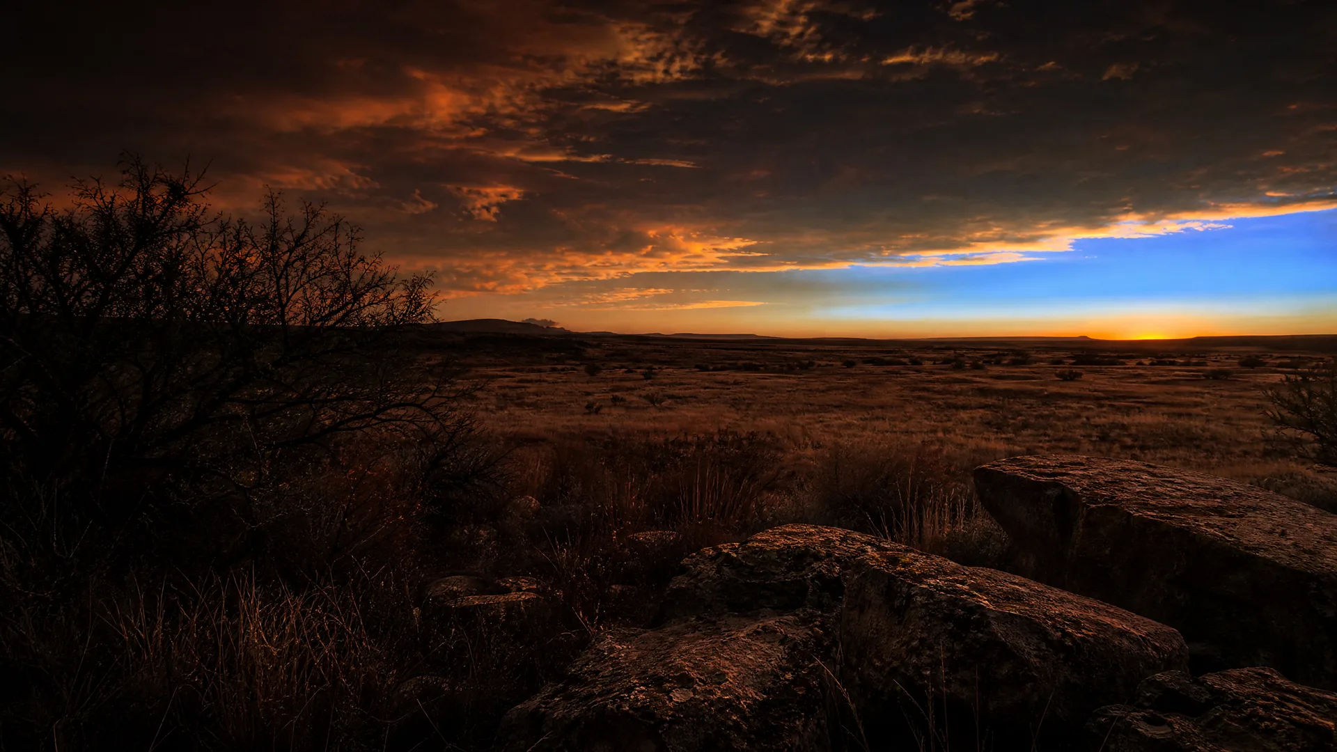 A wide sunset view over flat grassland with a low distant ridge, dark clouds overhead, a silhouetted bare shrub at left and rock slabs in the shadowed foreground.