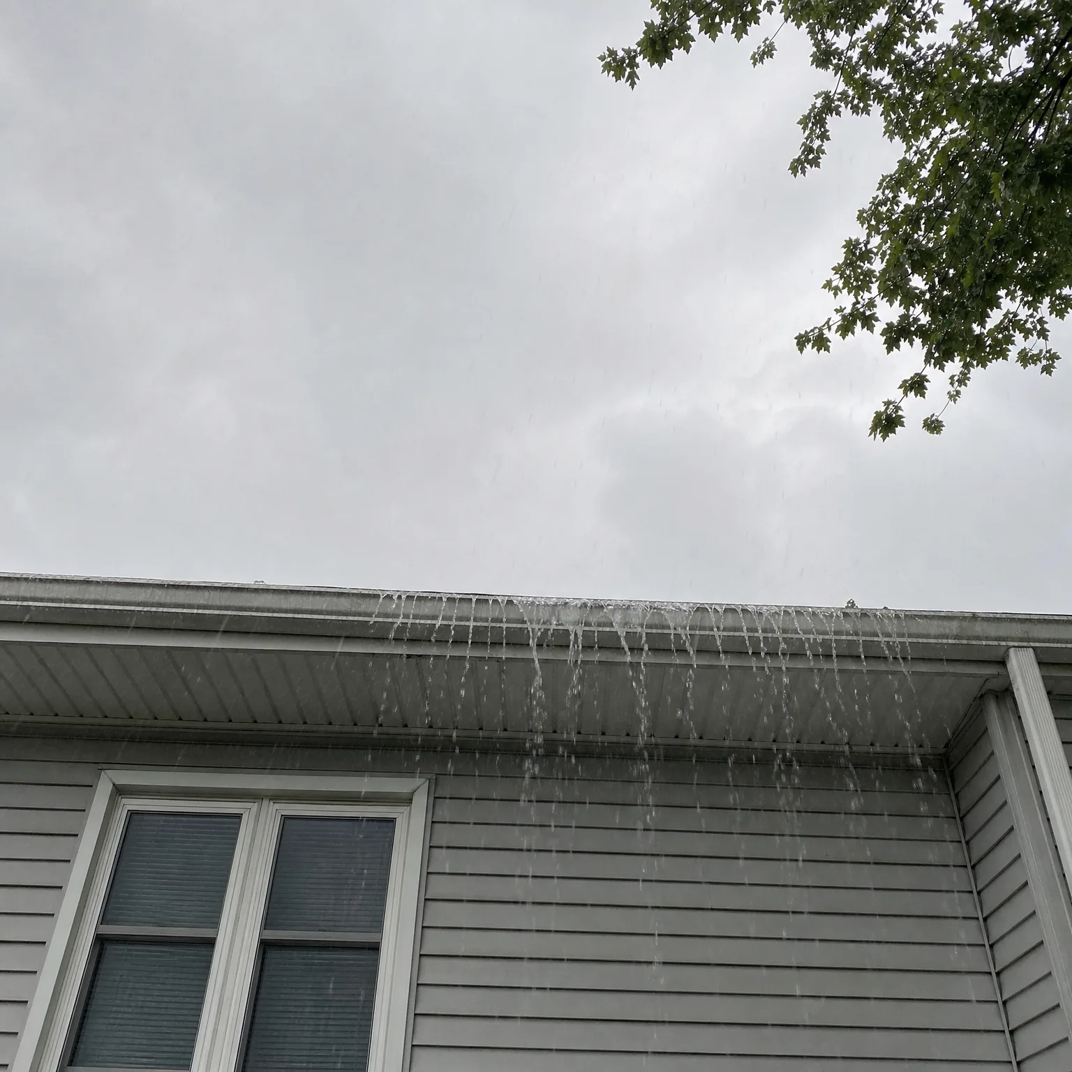 Upward view of a gray horizontal-siding house with white trim and a window, showing water overflowing in streams from the roof edge and gutter against an overcast sky, with green tree leaves in the upper right corner.