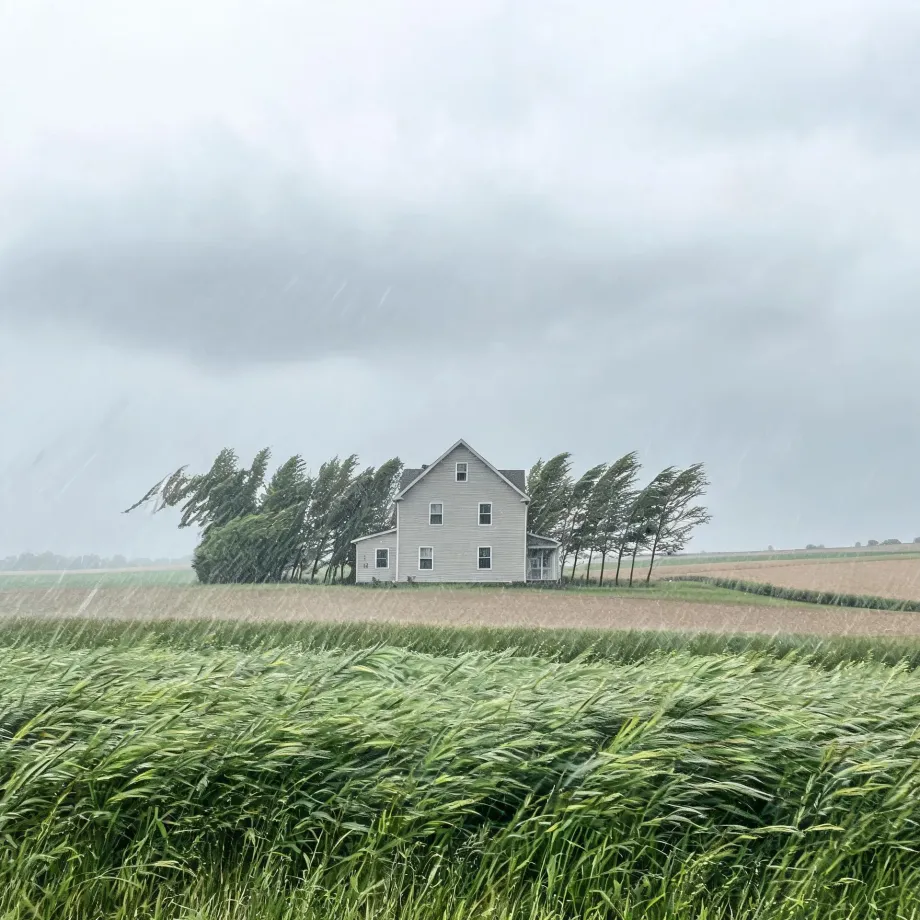 A white two-story farmhouse with a row of wind-bent trees stands beyond green and tan crop fields under a dark overcast sky with visible streaks of rain.