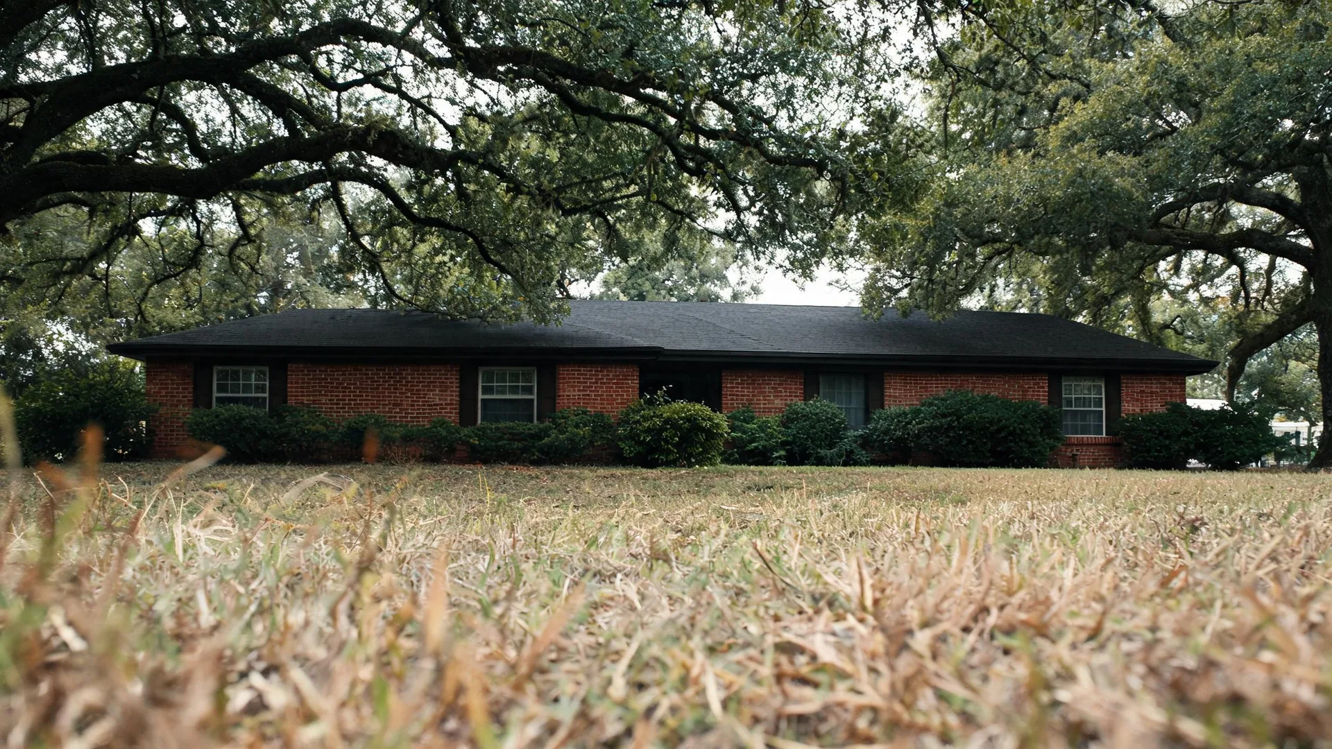 A single-story red brick ranch house with a dark roof, framed by overhanging oak branches, behind a dry grass lawn shot from ground level.