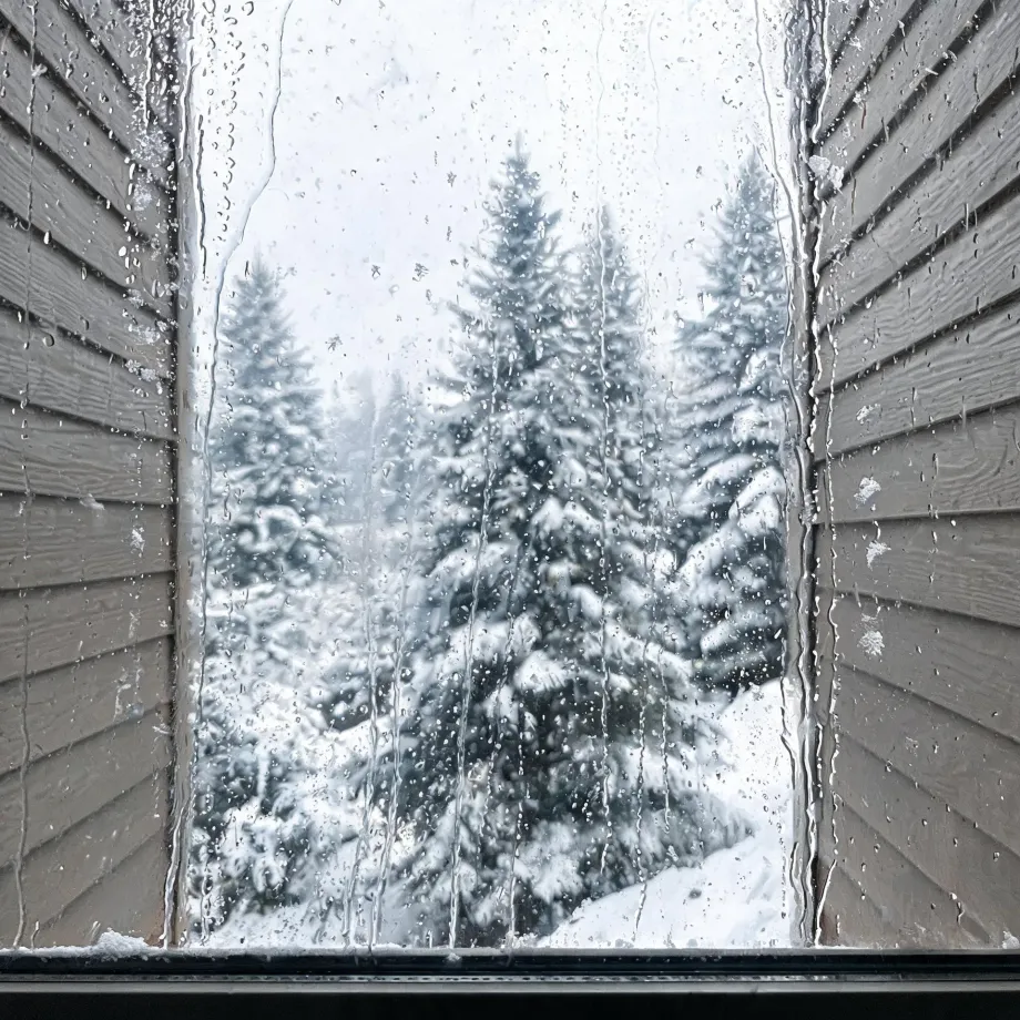 View through a wet, condensation-streaked window pane framed by gray horizontal lap siding, looking out at snow-covered conifer trees under an overcast white sky.